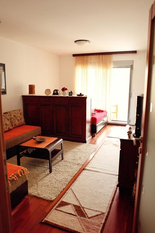 Studio Apartment Nika Andusa Petrovac Номер фото